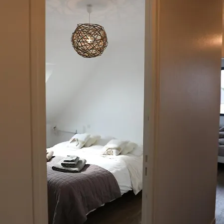 Dauphins * Barneville-Carteret