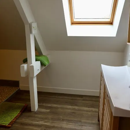 Dauphins Barneville-Carteret