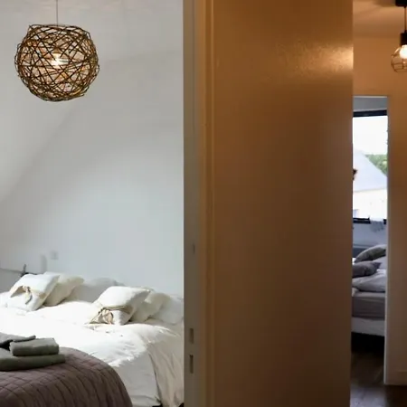 Dauphins Barneville-Carteret