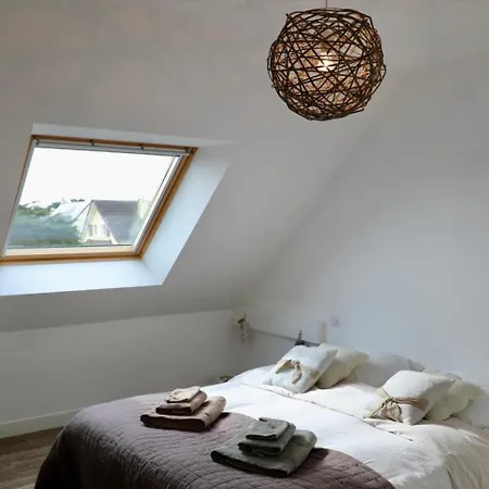 Dauphins * Barneville-Carteret