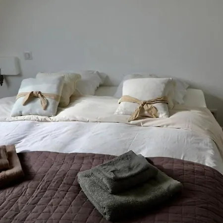 Dauphins Barneville-Carteret