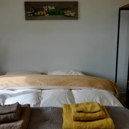 Dauphins Barneville-Carteret